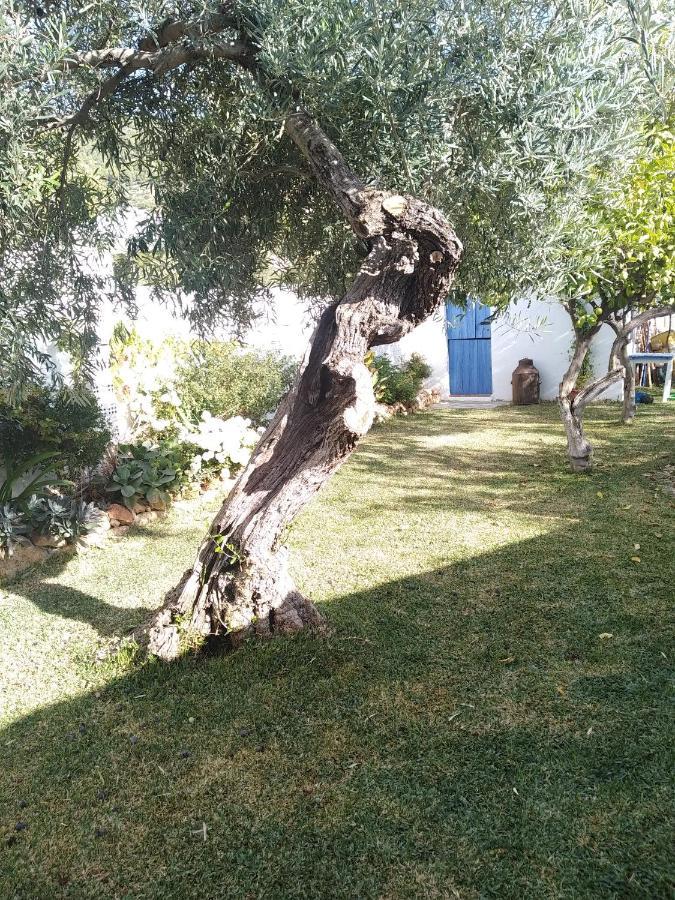 Villa Pitillas Algodonales Exterior photo